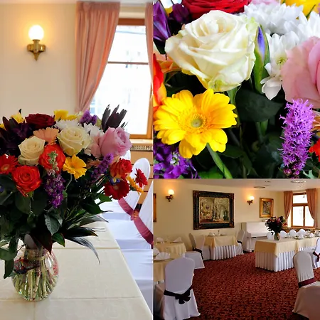 Hotel Ambiente Wellness & Karlovy Vary